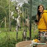 Ersteller:in Rebecca Profilbild