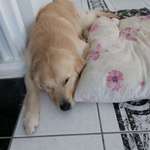 Ersteller:in Kristina Profilbild