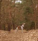 Hundeauslaufgebiet-Weilach - Kriemhildenstuhl - Kaiser Wilhelm Höhe - Weilach-Bild