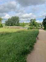 Hundeauslaufgebiet-Saulheimer Bach-Bild