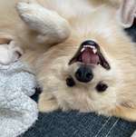 Ersteller:in Simge Buse Profilbild