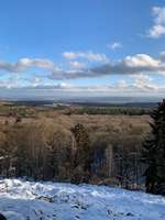 Hundeauslaufgebiet-Weißenfels Schöneberg-Bild