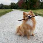 Ersteller:in Giulia Profilbild