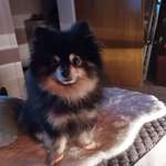 Ersteller:in Milo Profilbild