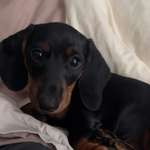 Ersteller:in Kerstin Profilbild