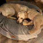 Ersteller:in Nicole Profilbild