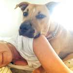 Ersteller:in Sonja Profilbild