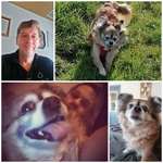 Ersteller:in Christof Profilbild