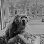 Ersteller:in Mailin Profilbild