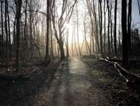 Hundeauslaufgebiet-Friedrichsorter Grünland-Bild