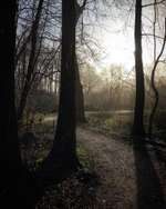 Hundeauslaufgebiet-Friedrichsorter Grünland-Bild