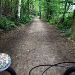 Hundeauslaufgebiet-Rundgang Bordesholmer See-Bild