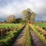 Hundeauslaufgebiet-Großer Rundgang Dätgen-Bild