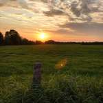 Hundeauslaufgebiet-Kleiner Rundgang Dätgen-Bild