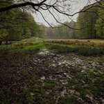 Hundeauslaufgebiet-Tiergehege Tannenberg-Bild