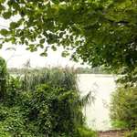 Hundeauslaufgebiet-Rundgang Bordesholmer See-Bild