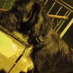 Ersteller:in Mathias Profilbild