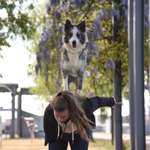 Ersteller:in Soraya-Lejla Profilbild