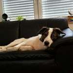 Ersteller:in Georgie Profilbild