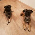 Ersteller:in Alexander Profilbild