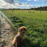 Ersteller:in Vanessa Profilbild