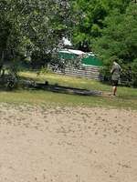 Hundeauslaufgebiet-Hohenschönhausen-Bild