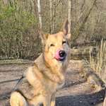 Ersteller:in Denn Profilbild