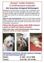 Suchmeldung-Struppi-Bild