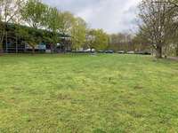 Hundeauslaufgebiet-Straße am Park/Grünauer Allee-Bild