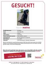 Suchmeldung-Martha-Bild