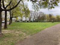 Hundeauslaufgebiet-Johann-Jakob-Weber-Platz-Bild