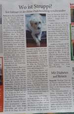 Suchmeldung-Struppi-Bild