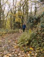 Hundeauslaufgebiet-Greifensee-Bild