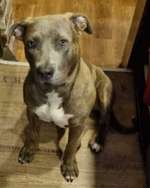 Suchmeldung-NAILA-Bild