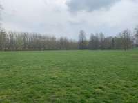 Hundeauslaufgebiet-Volkspark Kleinzschocher-Bild