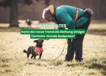 "Bark Dates": Was sind eure Erfahrungen mit dem neuen Trend der Hundevermittlung?-Beitrag-Bild