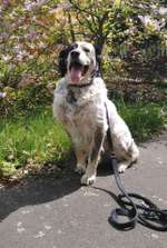 Suchmeldung-Zeus-Bild