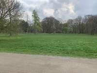 Hundeauslaufgebiet-Palmengarten-Bild