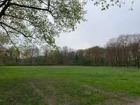 Hundeauslaufgebiet-Mariannenpark-Bild