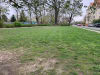 Hundeauslaufgebiet-Ludwig-Beck-Straße-Bild