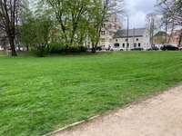 Hundeauslaufgebiet-Weinligstraße-Bild