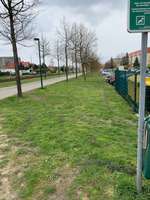 Hundeauslaufgebiet-Südliche Ratzelstraße-Bild