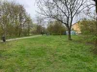 Hundeauslaufgebiet-Lichtenfelser Straße-Bild