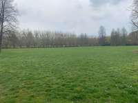 Hundeauslaufgebiet-Volkspark Kleinzschocher-Bild