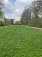 Hundeauslaufgebiet-Ferdinand-Lassalle-Brücke-Bild