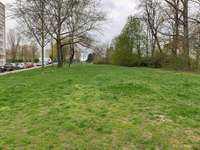 Hundeauslaufgebiet-Zschopauer Straße-Bild