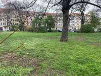 Hundeauslaufgebiet-Möbiusplatz-Bild