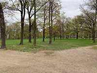 Hundeauslaufgebiet-Wilhelm-Külz-Park-Bild
