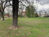 Hundeauslaufgebiet-Reudnitzer Park-Bild