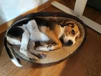 Was würdest du jetzt anders machen?-Beitrag-Bild